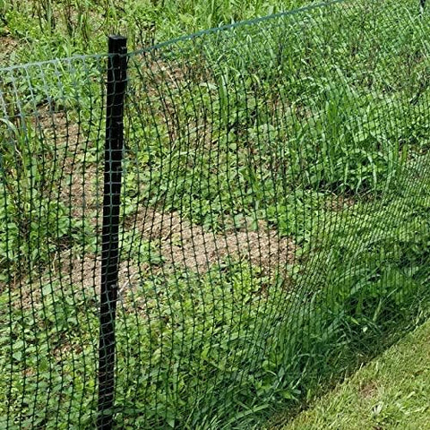 BOEN Valla de jardín barrera temporal al aire libre para perros, conejos o ciervos, malla de pástico para jardín, protección para plantas (40 x 25 Kuchen, weiß) 