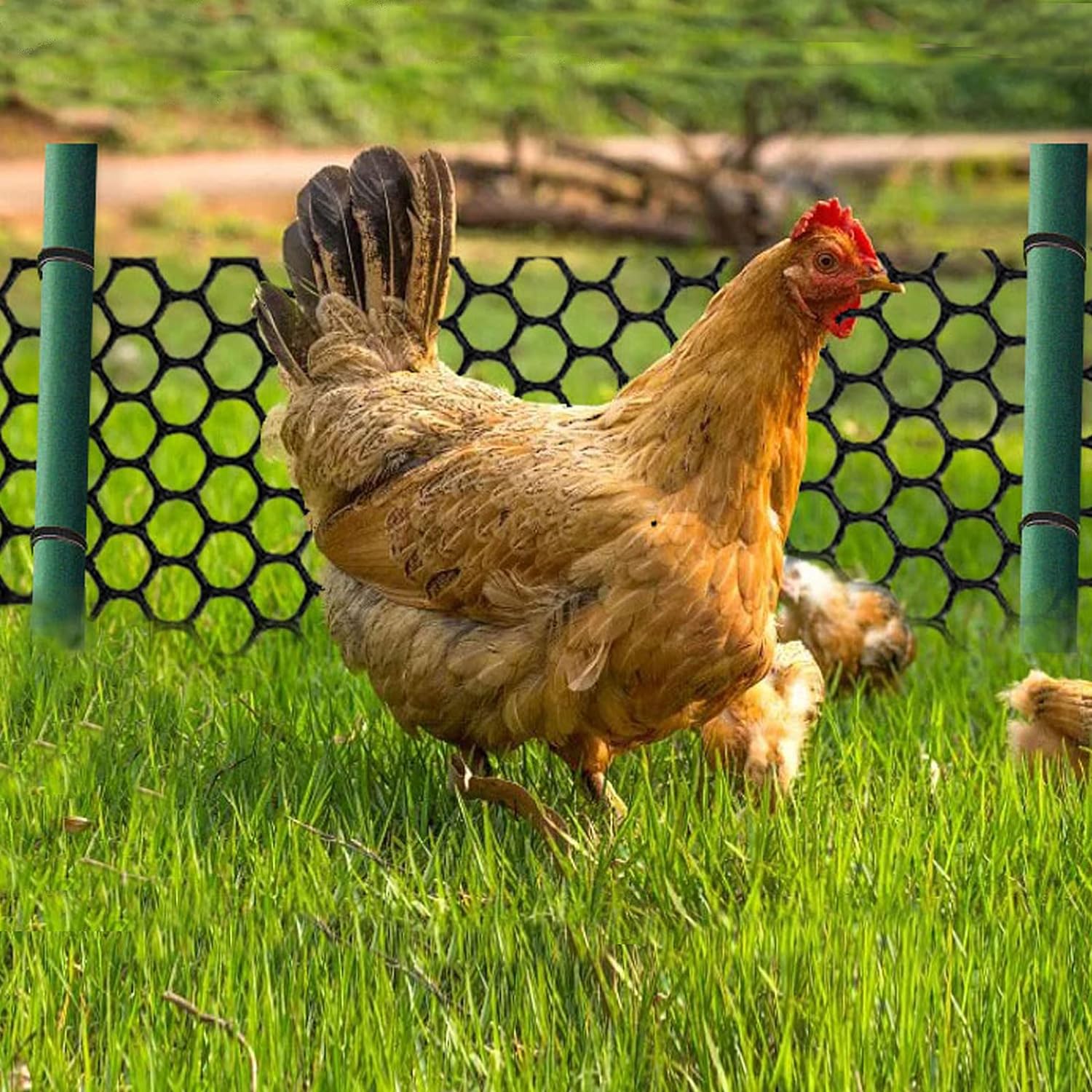 GENNIZZ Malla de alambre de plástico mejorada de 15.7 pulgadas x 50 pies, valla de barrera de animales de corral, red de barrera de construcción, red de jardín, alambre de plástico negro para jardín